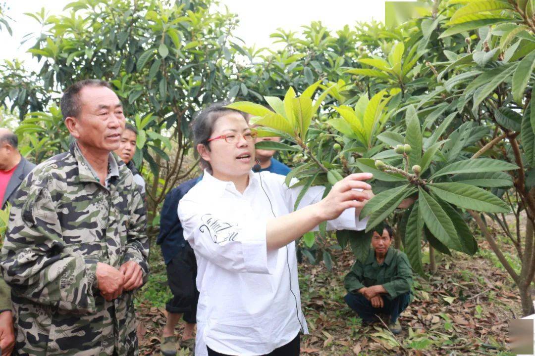 作为县人大代表,杨忠积极响应县里"脱贫攻坚·人大代表在行动"号召,将