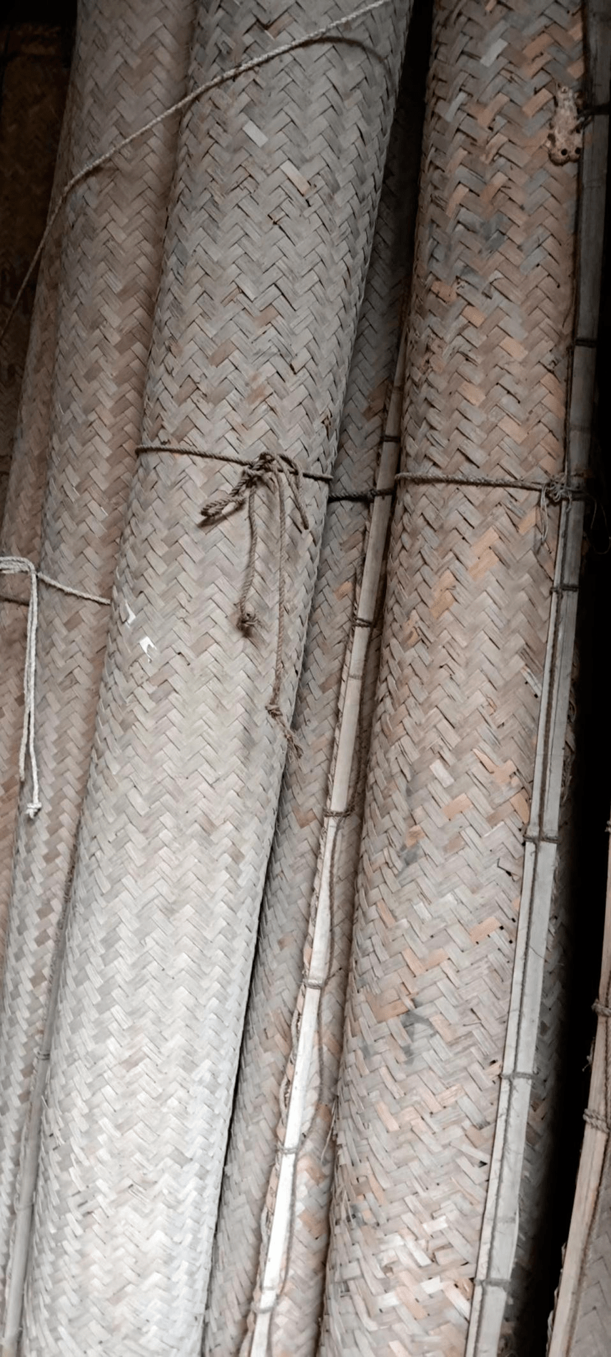 太不容易了!_谷子_工具_大米