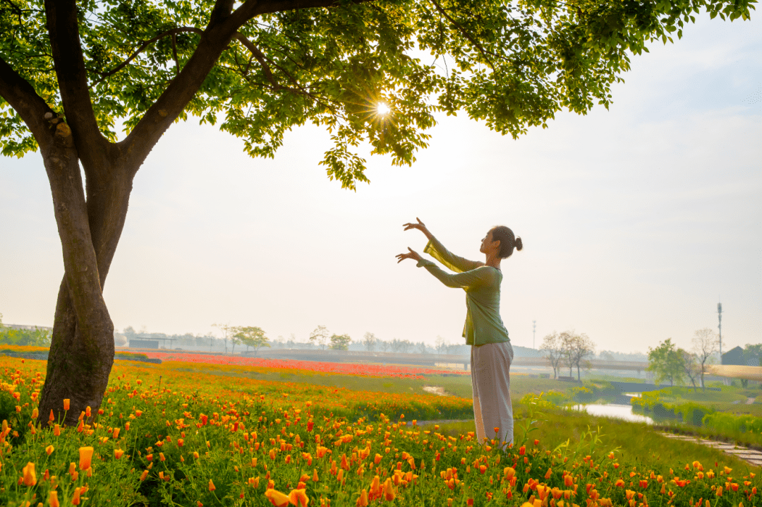 度假_花菱_尾巴
