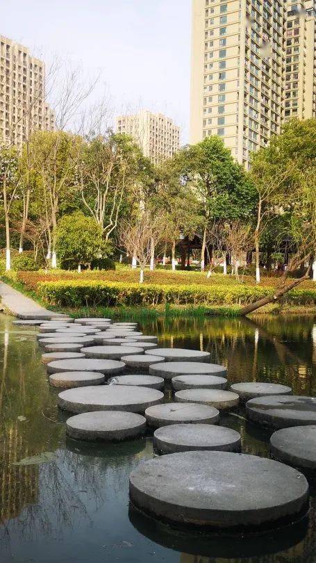 曬太陽,放風箏,露營野餐……錢塘假日的正確打開方式!_公園_草坪_導航