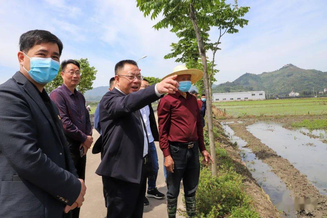 今天县长高双成到田间地头调研