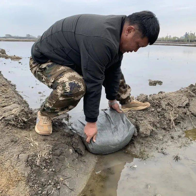【856·三区】强化环境治理 提升农业标准_进行_管理_池埂