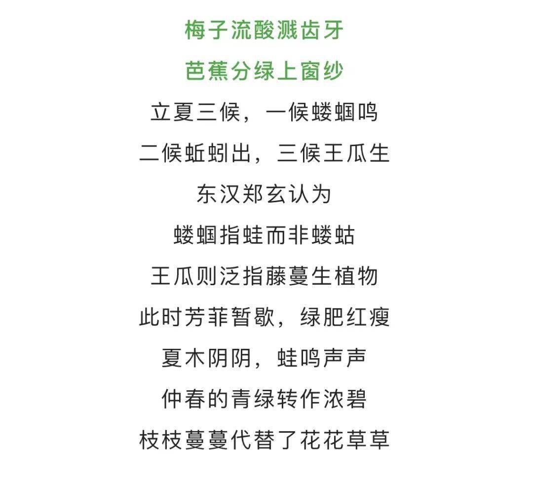 摄影记者:刘建维新尝九荤十三素谁家村西不称人立夏时节万物繁盛时令