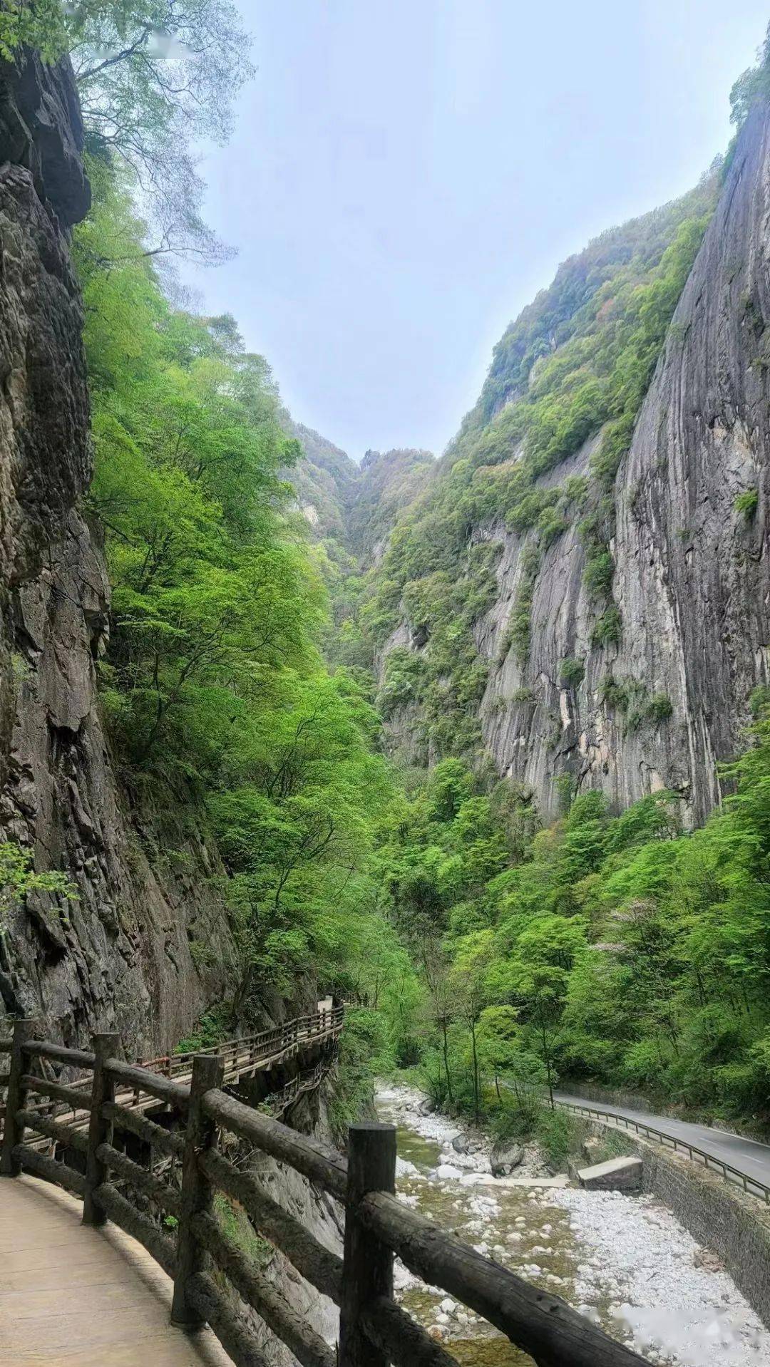 五一小长假 | 太白山旅游接待完美收官_游客_景区_度假
