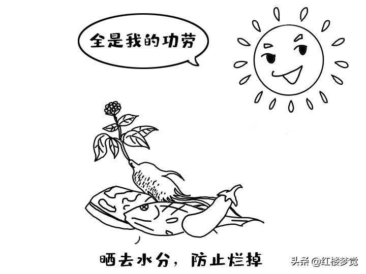 人參百年成灰是怎麼回事