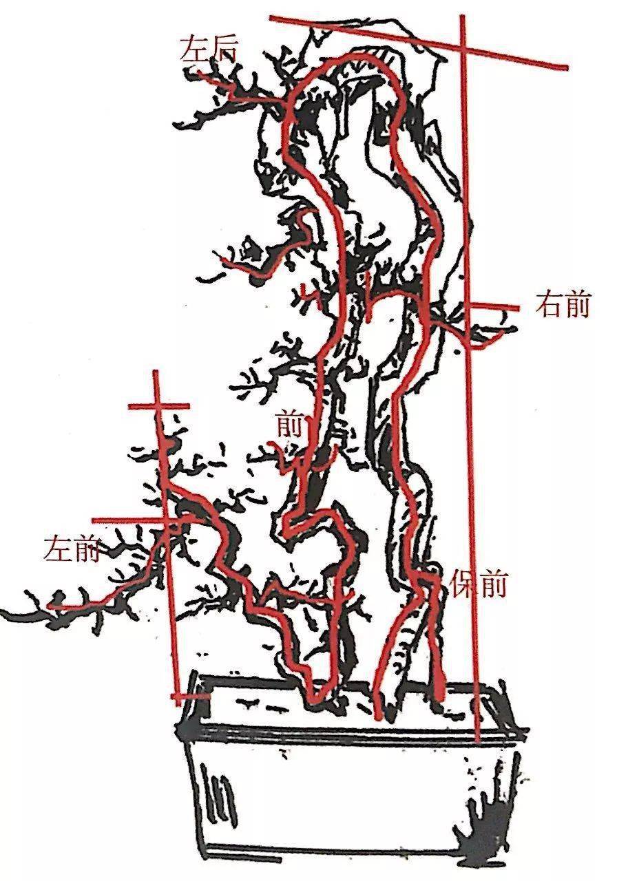 一张盆景设计图令我扎进盆景世界里,原来盆景可以这样玩!