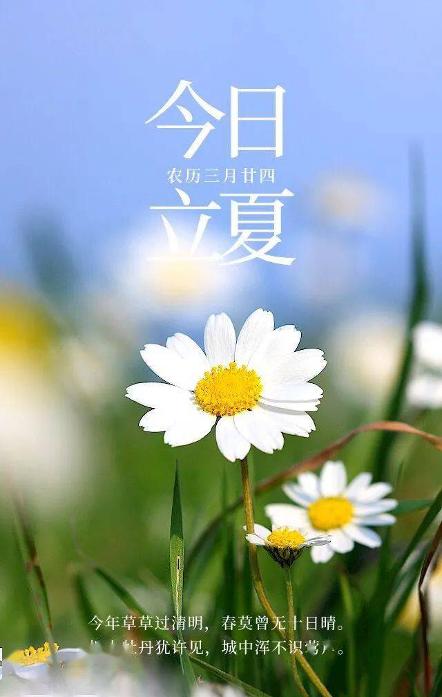 立夏:立夏快乐,祝君夏安_束光_好日子_如意