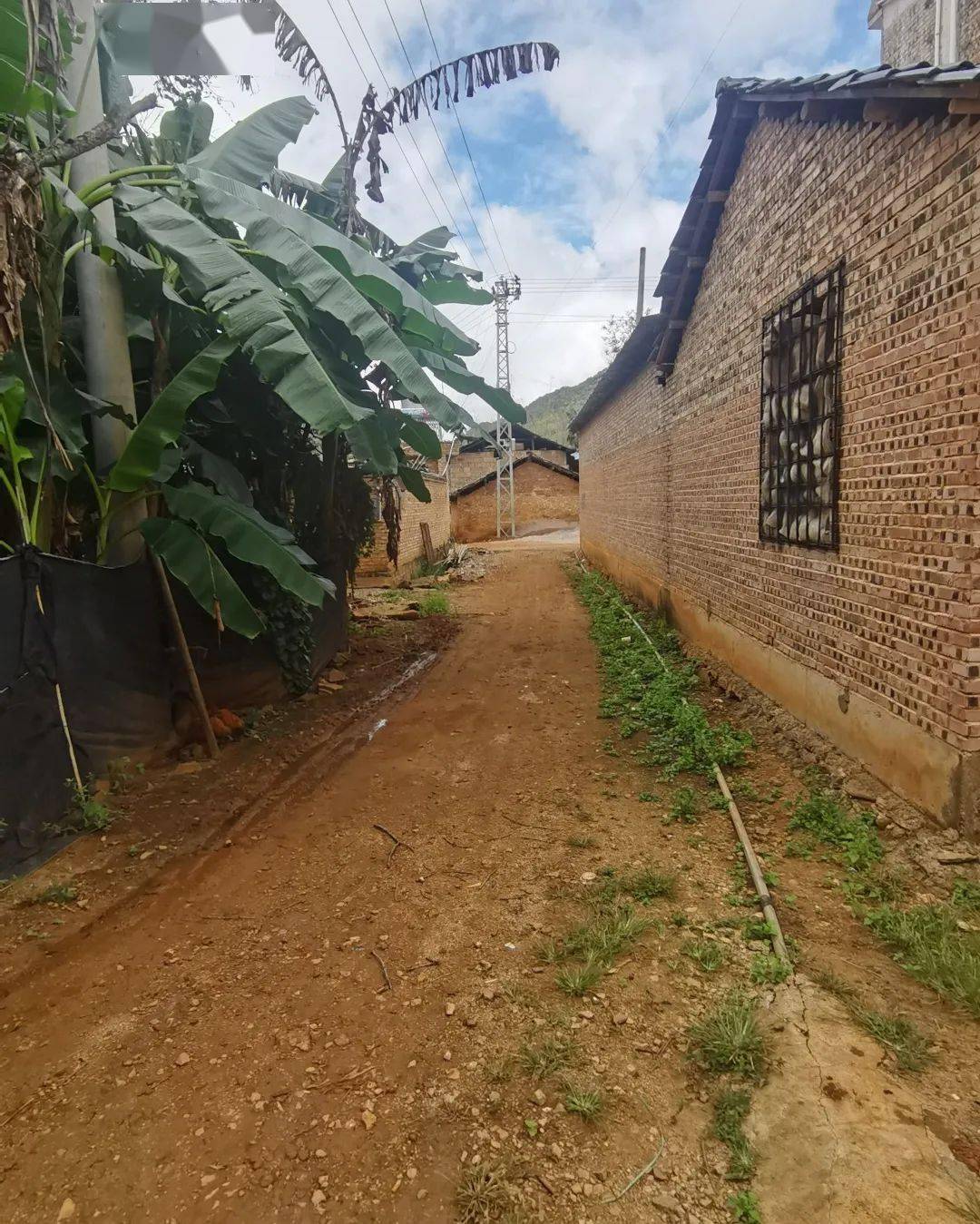 蝶变砚山这个村大变身绘就美丽乡村新画卷