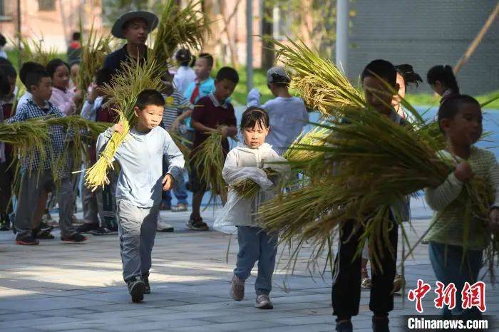 劳动课回来了！9月起中小学生要学煮饭种菜修家电