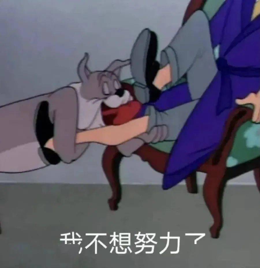 今日份搞笑表情包i我不想努力了