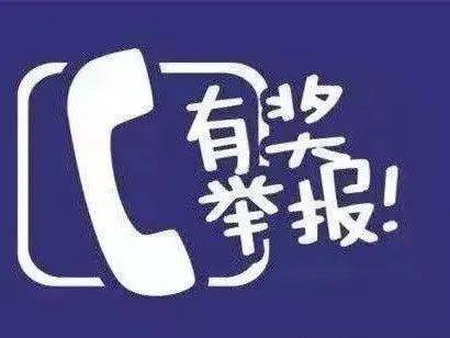 因成功举报校外教育培训机构违规行为获奖的举报人