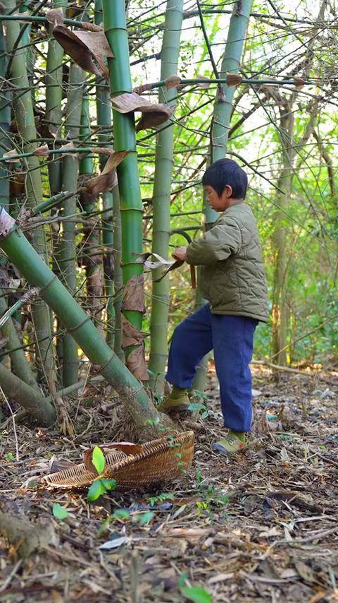 老竹壳将黄糖糯米包裹起来,一口软糯香甜还带着竹叶的香气