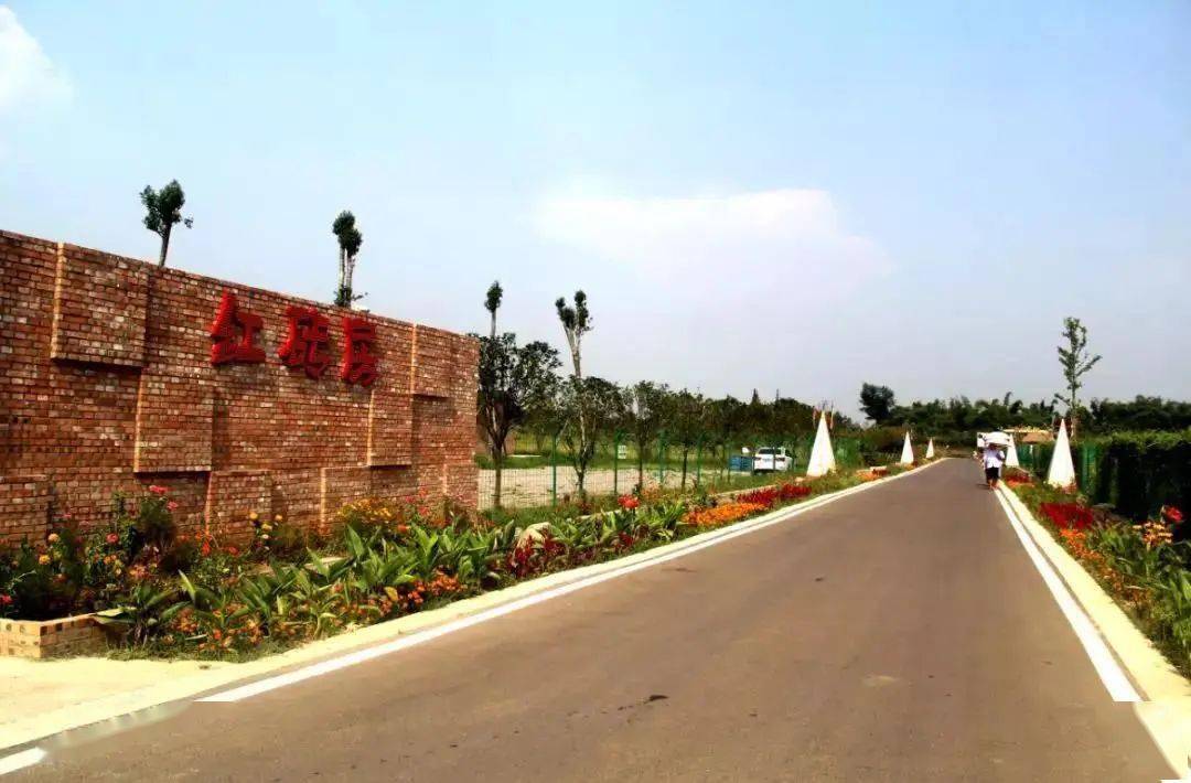 "百佳"风采③|桑园镇黑虎村——"五个一"治理模式,实现党群联动"精治"