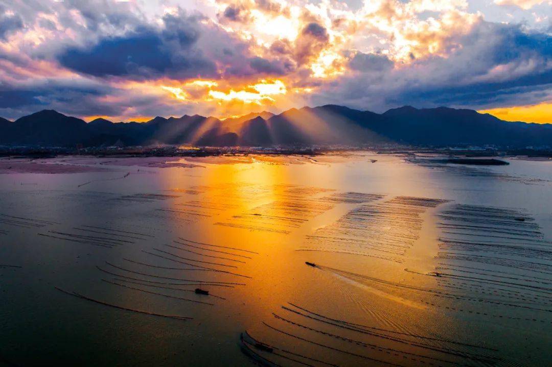 2022夏日花海58打卡宁海网红小山村赏四季花海山海间寻自己