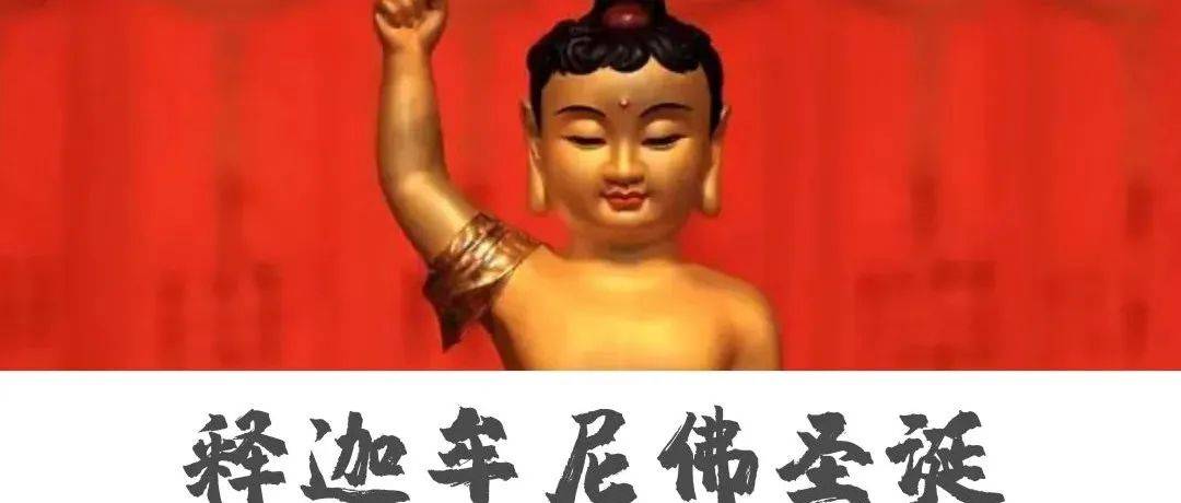 等慈活动 恭迎释迦牟尼佛圣诞_如来_众生_在线