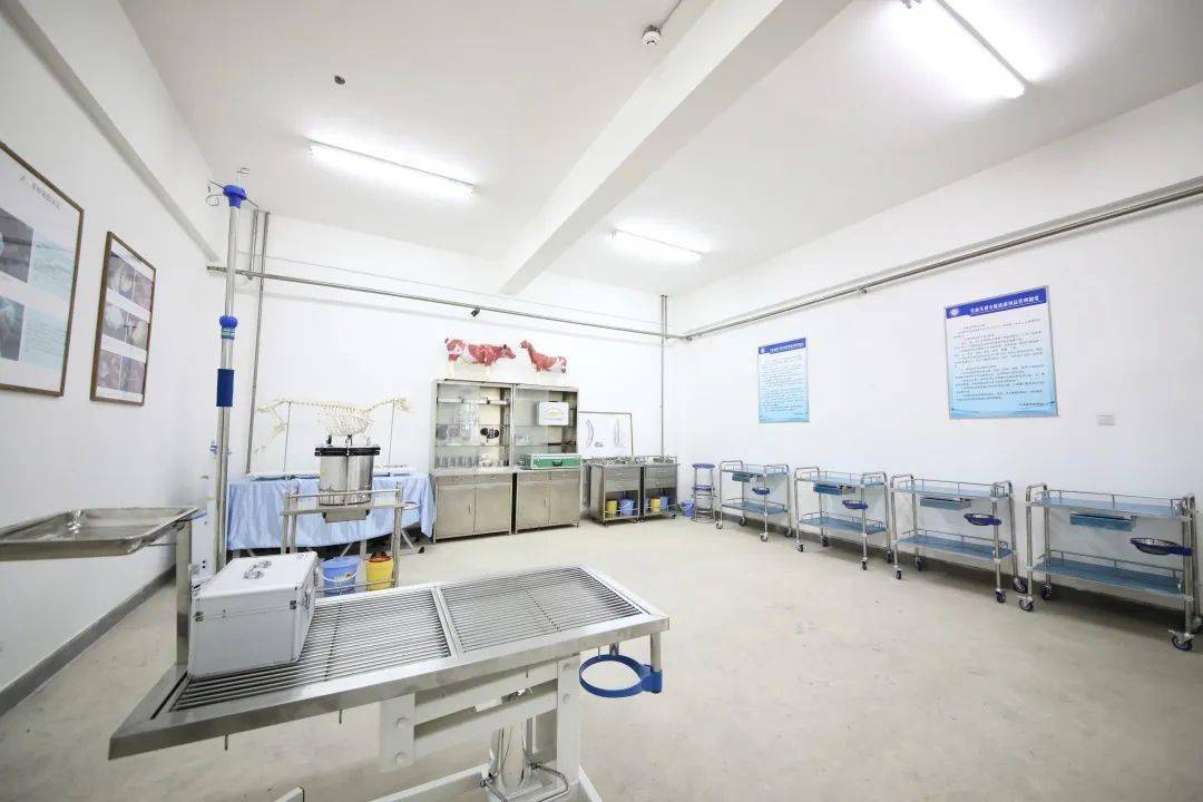 中港教育特色专业畜牧兽医