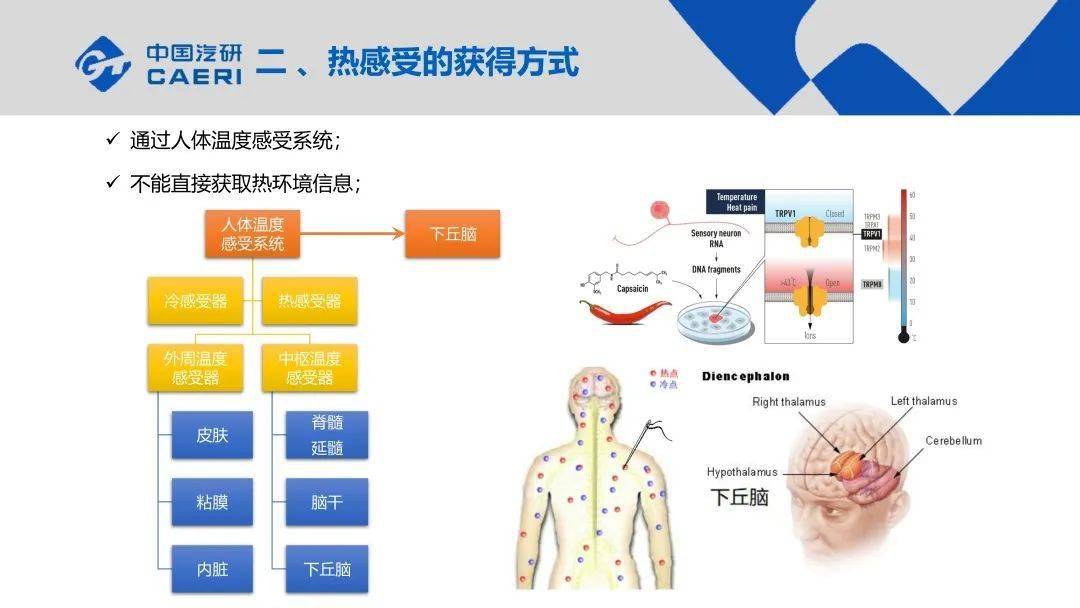 技术丨人体热舒适性模型理论及在汽车中的应用