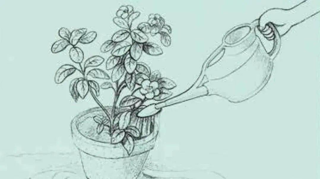 图源:《饲养栽培图鉴》怎么样,有了专业的种植教程你是否也开始蠢蠢欲