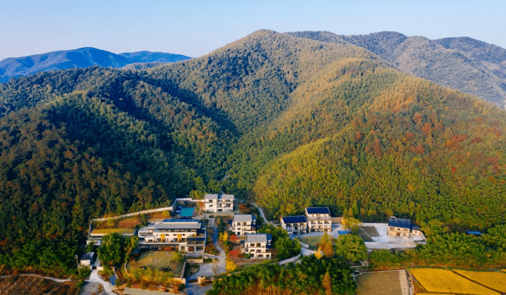 一起来森呼吸湖州新增1处省级森林康养基地