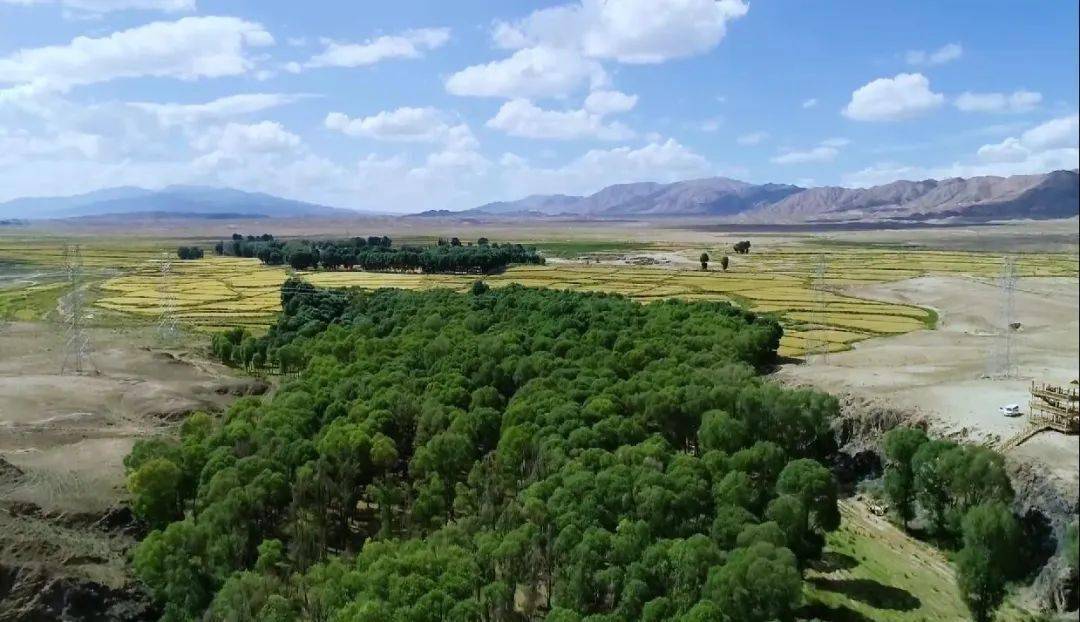 月牙湖湿地位于永昌县红山窑镇王信堡村东北部,依山傍水,风景秀丽,湖