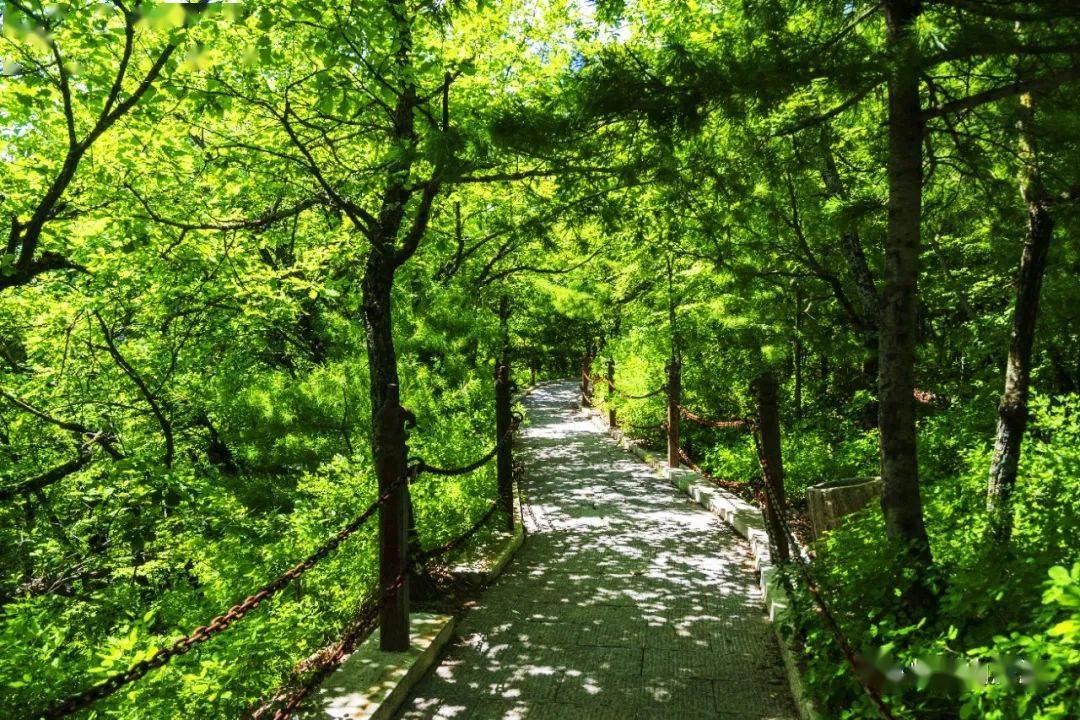 崆峒山初夏美景来一波