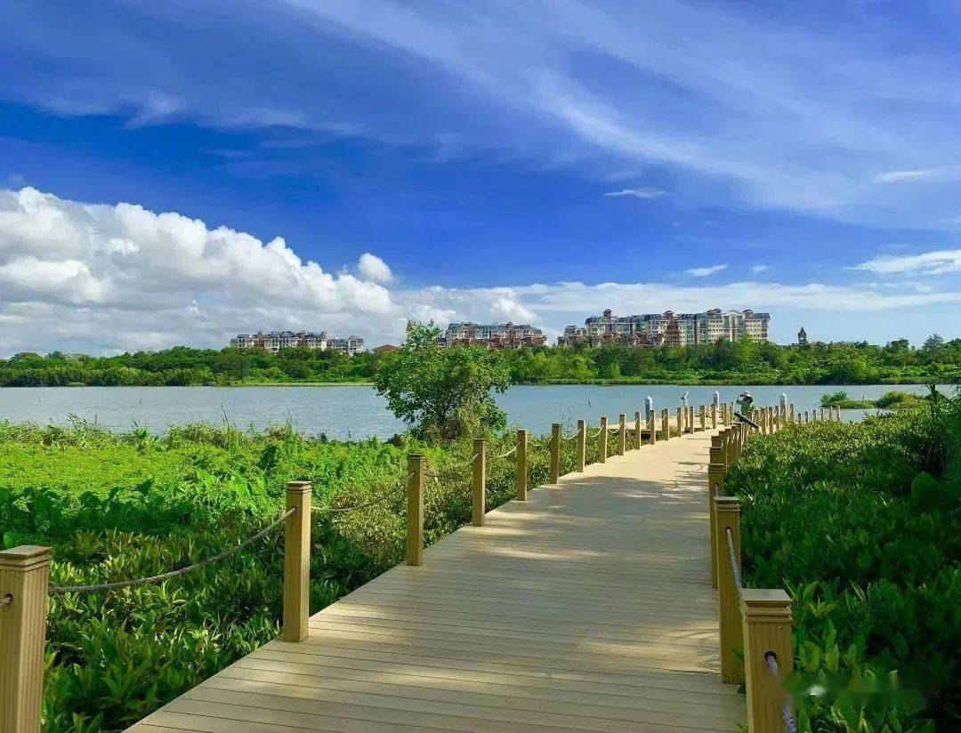 深圳这9大超赞的湿地公园,满足你对自然的向往,更不耽误遛娃!