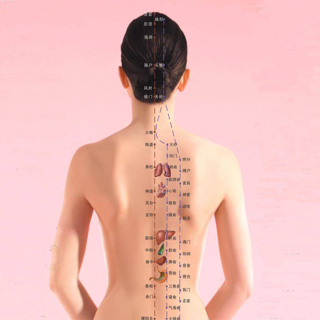 为什么要做背 给你11个理由够不够 背部 人体 身体 为什么要做背 给你11个理由够不够 背部 人体 身体