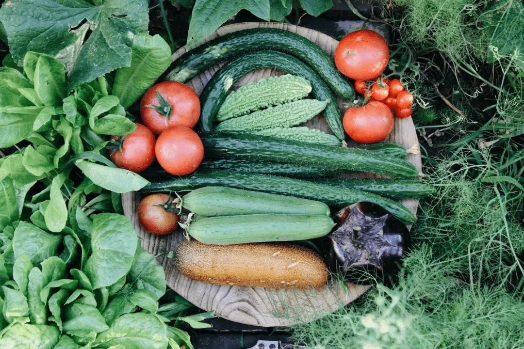 七都的小菜园都在那些飘香的果蔬里七都的初夏那夏天必然是瓜果蔬菜的