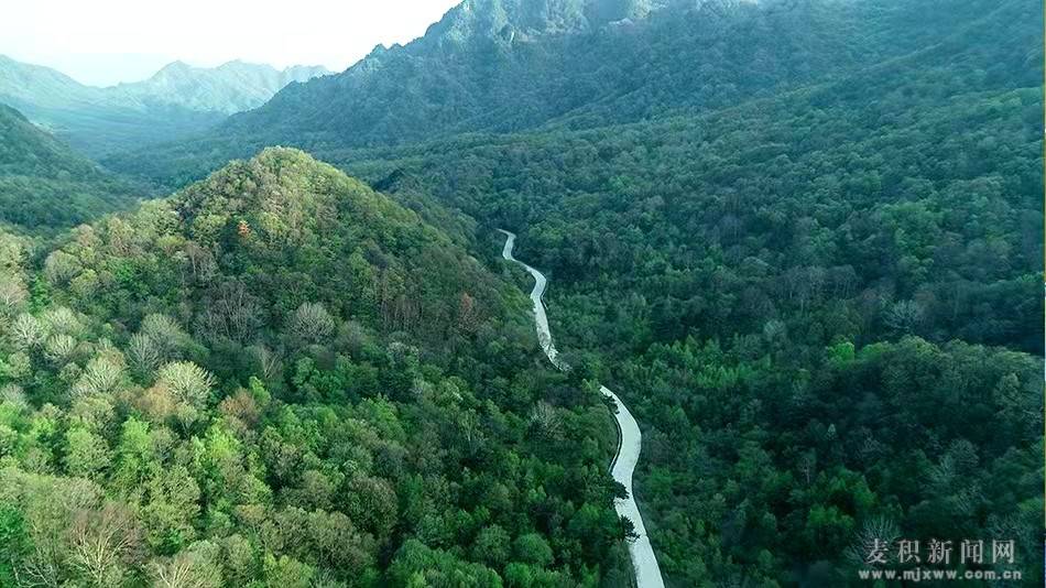 麦积区东岔镇桃花沟依托山水资源做活乡村旅游