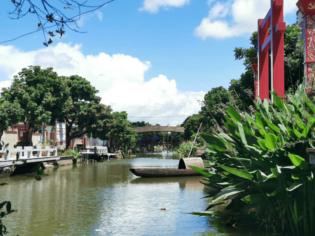 新会区睦洲镇各级人大代表积极助力"难安村"蝶变"示范村"_村民_土地