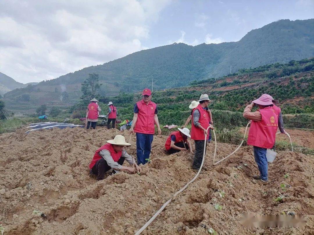 工会动态甘庄街道总工会开展中国梦劳动美志愿服务活动