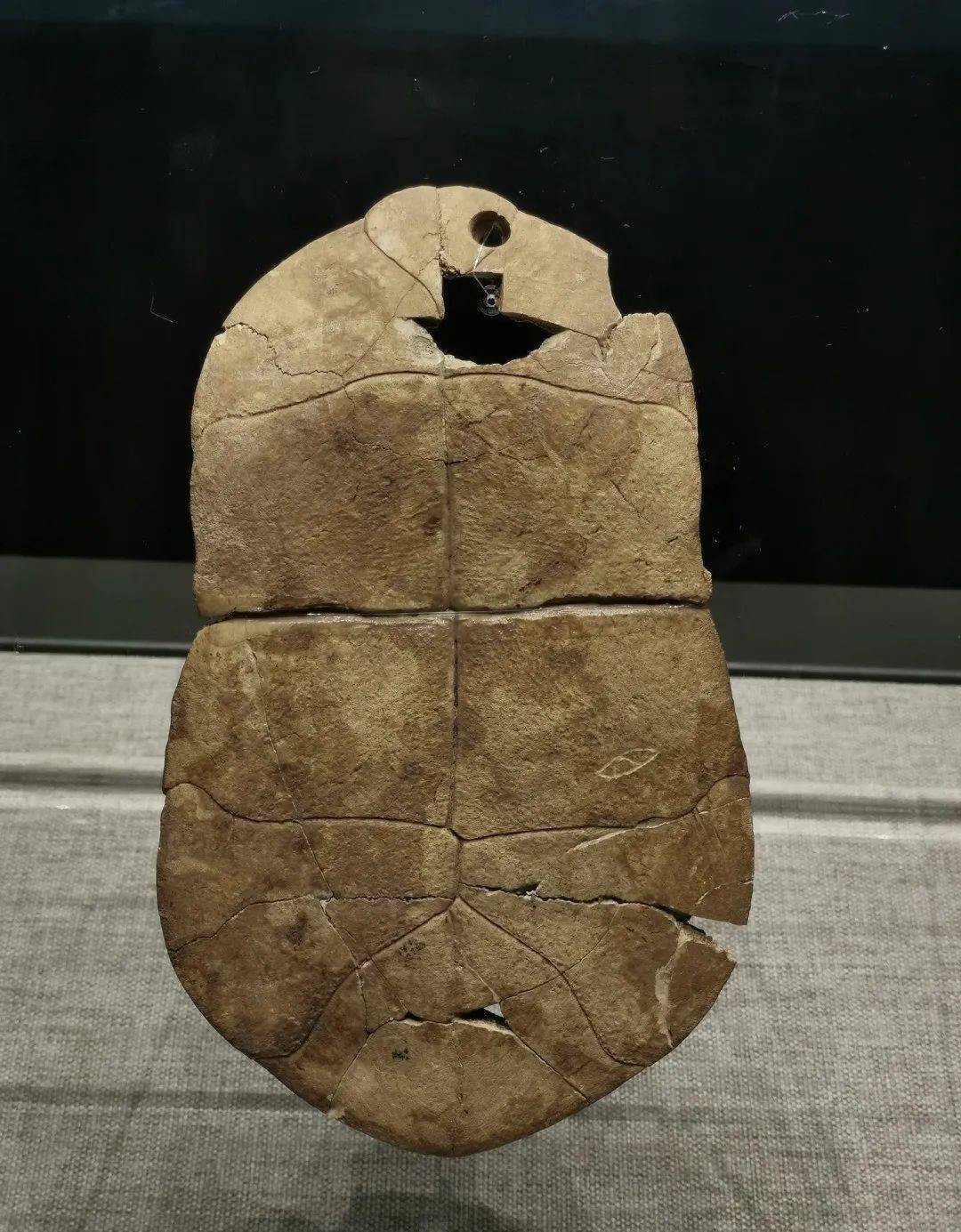 中华文明上下五千年贾湖遗址告诉你真相