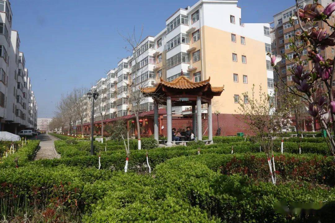 喜报:辉县孟庄美丽乡村建设工作被河南省通报表扬_稻田_胡桥_日记