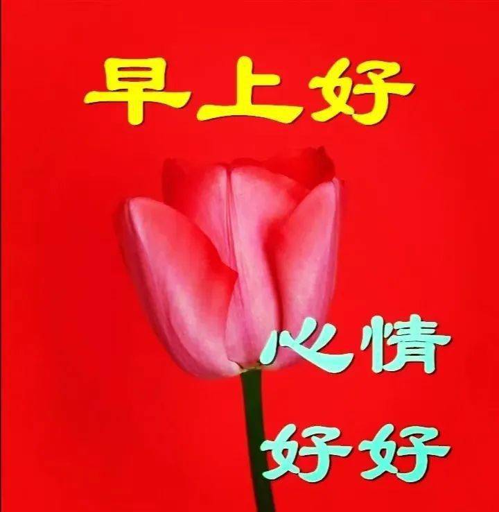 5月9日最新周一早上好动态表情图片大全,春天早上好问候语句子!