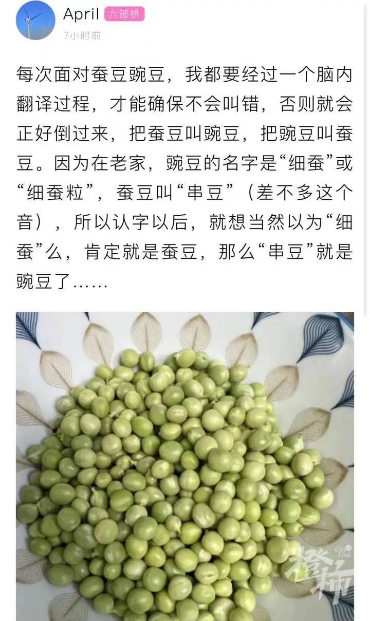 罗汉豆鲁迅图片