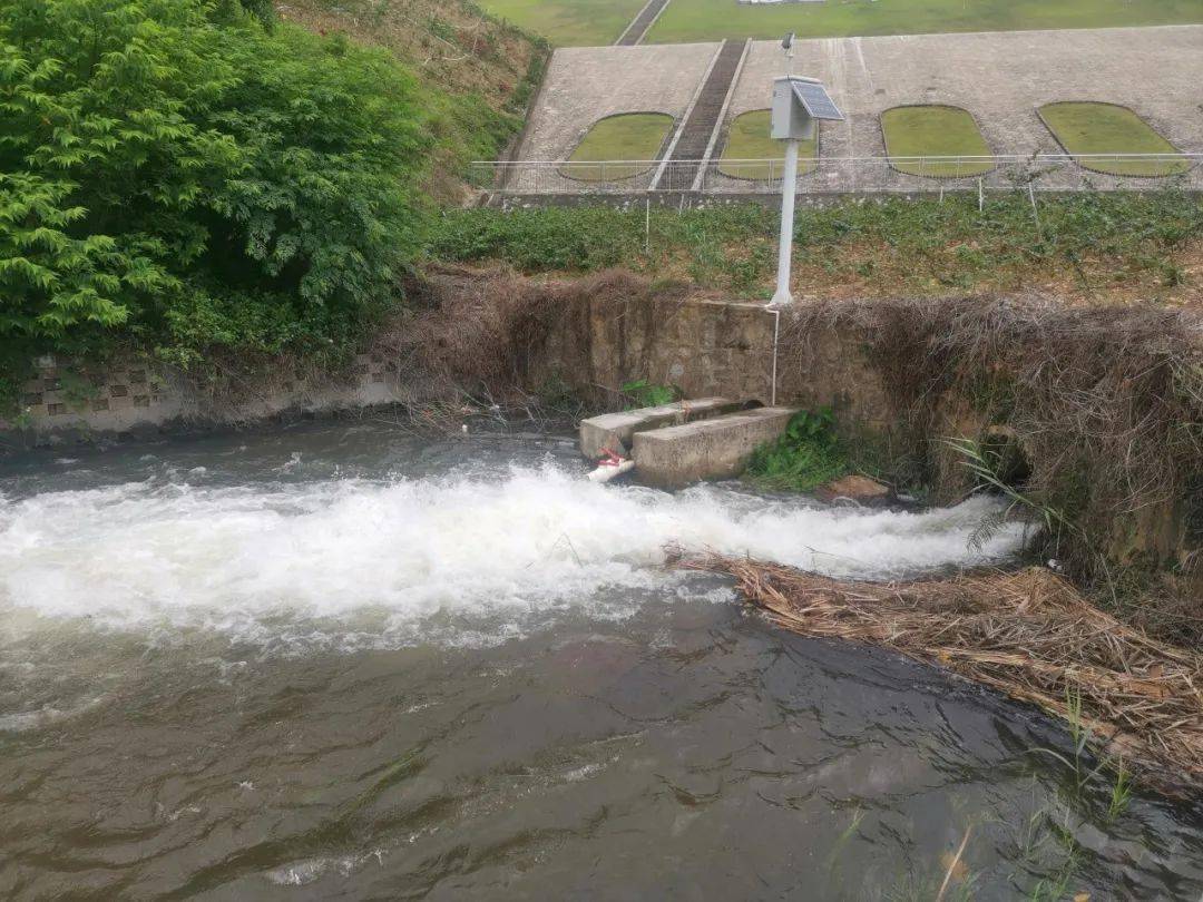 綜合研判水情,提前安排行洪河道入海水閘提前預排,降低內河水位,騰出