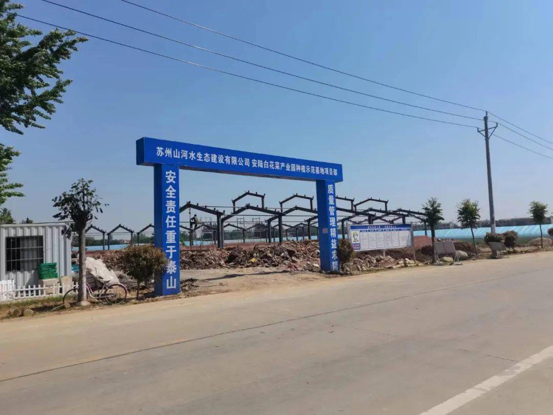 奋进新征程建功新时代安陆市巡店镇五大工程提亮乡村振兴成色