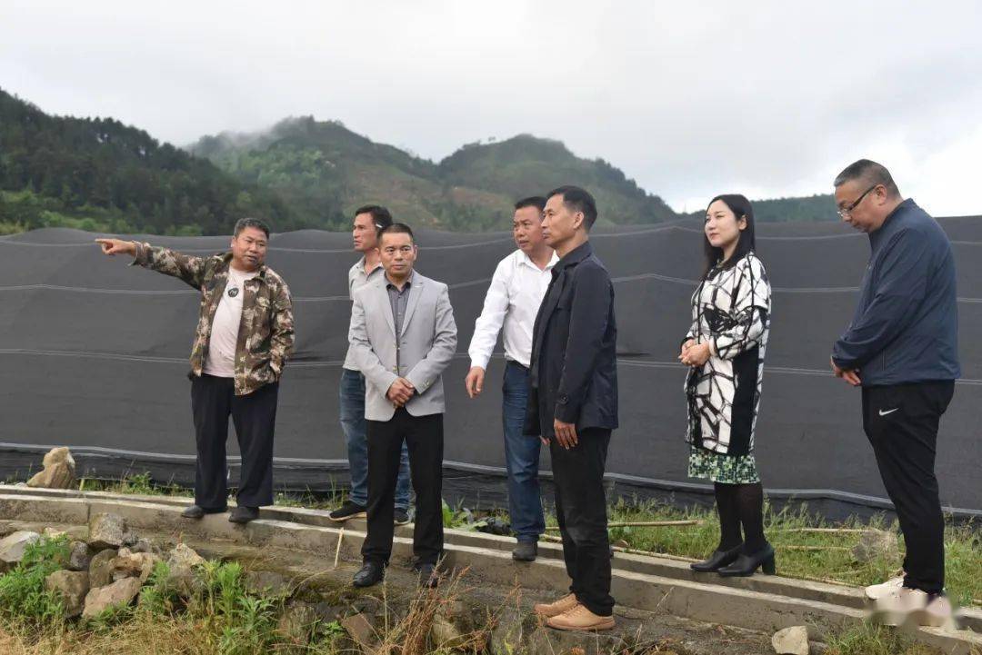 迈步走,春耕风正好,乡村振兴正当时_石板村_贵定_管所