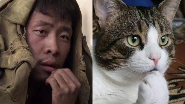 比如张译在《我不是潘金莲》中饰演的"贾聪明",一个爱耍小聪明的人