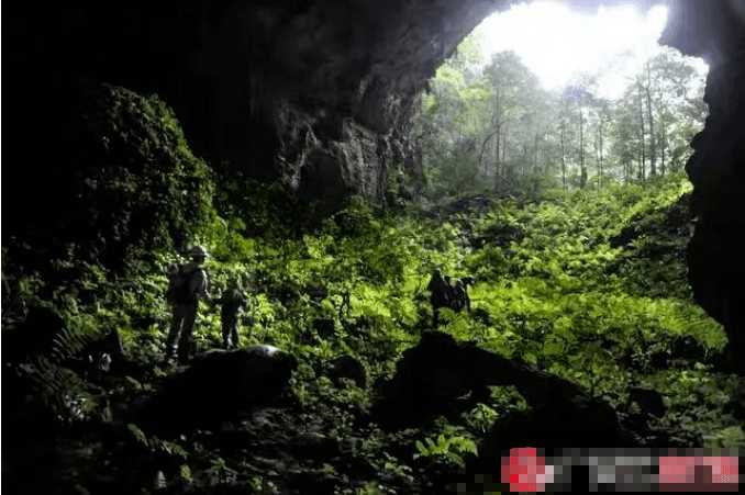 太酷了廣西號稱天坑博物館天坑數量多到讓你意想不到