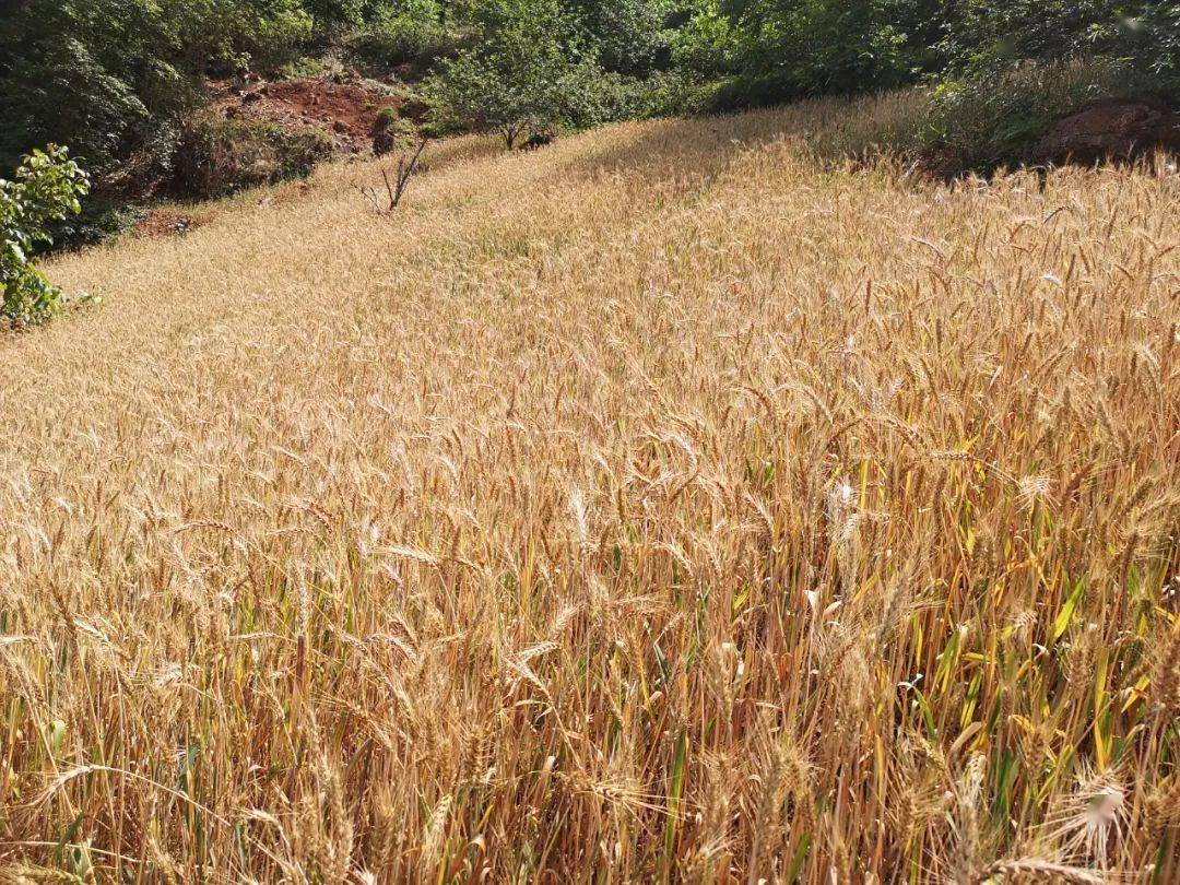 梭山天气预报今日情况