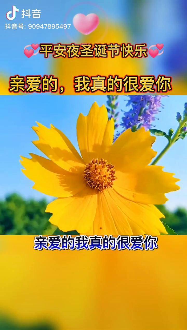 亲爱的我真的很爱你如果我的名字是你拒绝别人的理由那我拼了命也和你