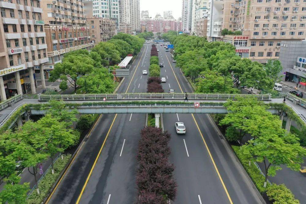 美市区多条道路过街天桥完成绿化景观提升