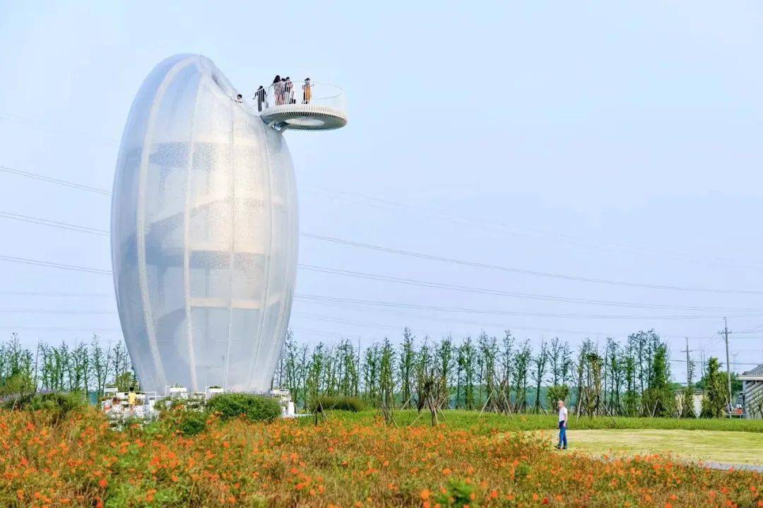 小小农夫劳动体验南通都市农业公园喊你一起下地种苗啦