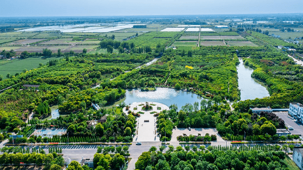 建湖县高作镇全域土地综合整治项目实施方案通过自然资源部审批_耕地