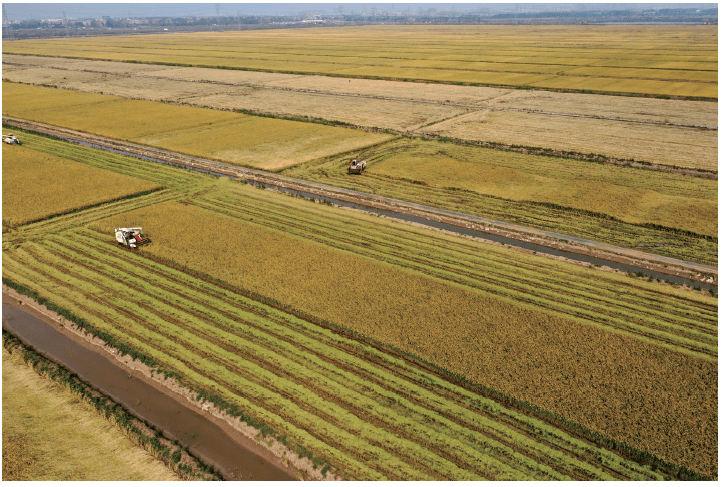 如何坚决守住18亿亩耕地红线丨党校学员两带来