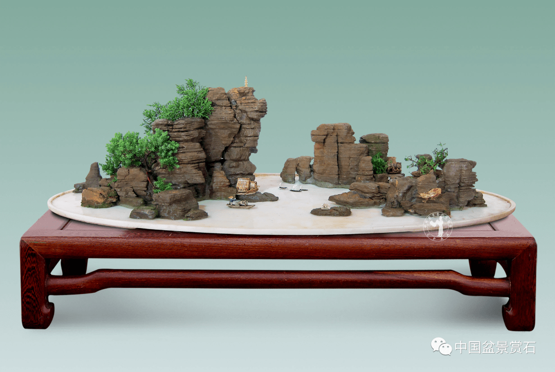 每一盆都是心血与时间的凝固盆景随想