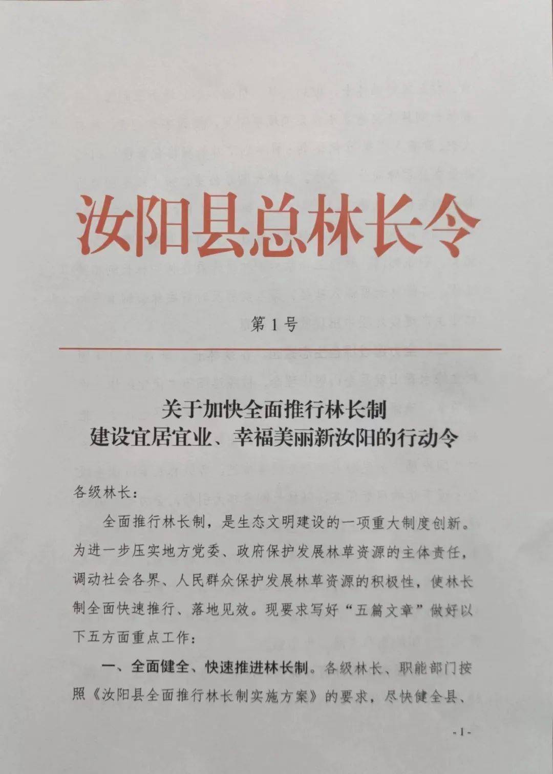 汝阳发布1号总林长令全面推行林长制