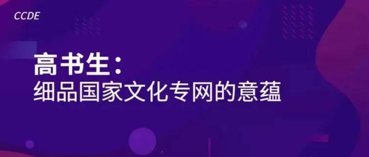 数据超市丨 高书生:细品国家文化专网的意蕴_服务_有线电视_的生产