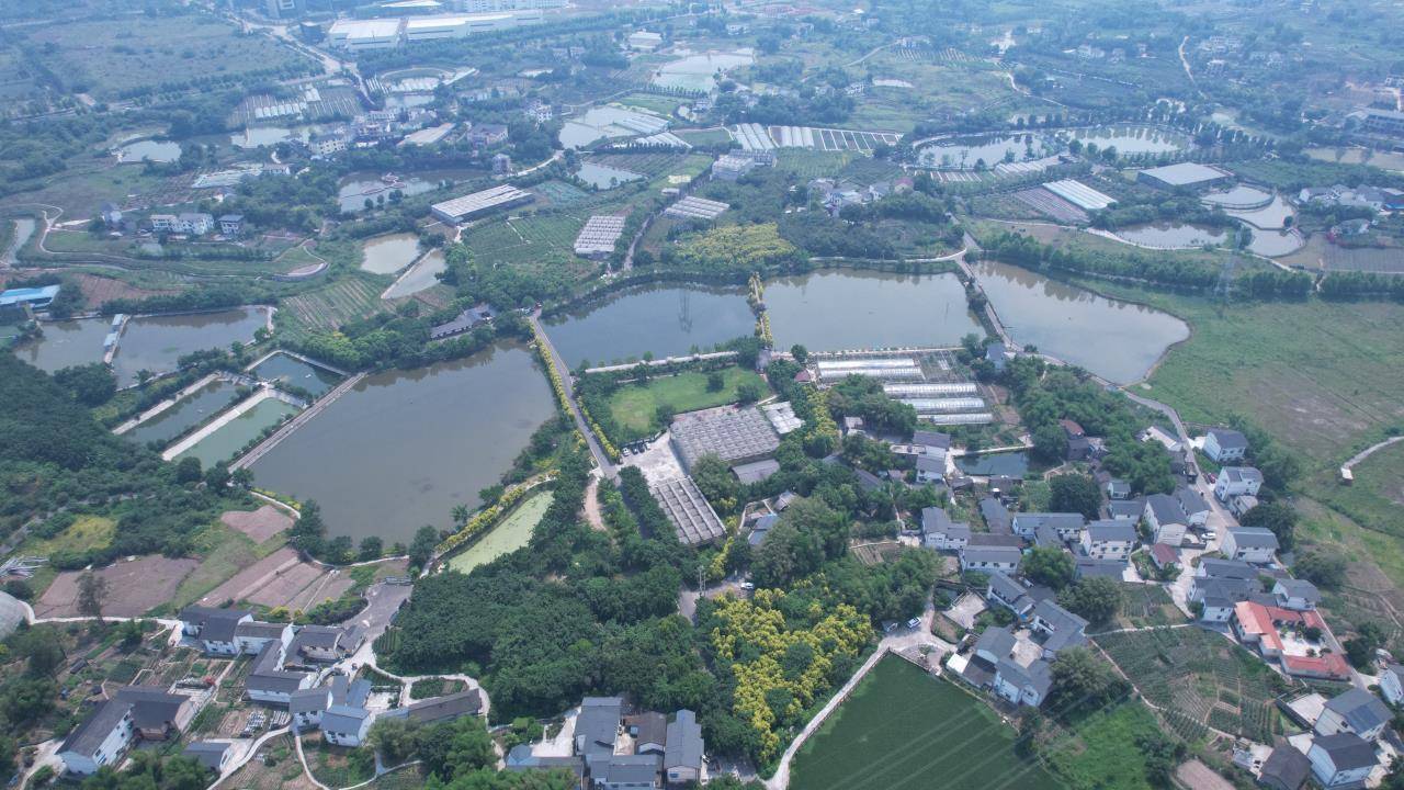 近年来,重庆九龙坡区西彭镇按照乡村振兴战略提出的二十字总要求,聚焦